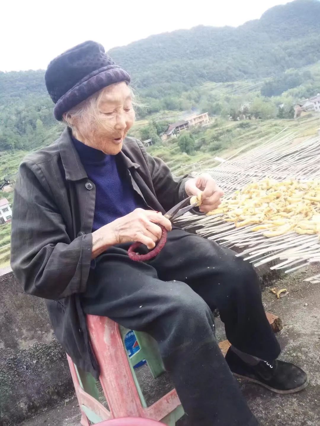 DƬ
